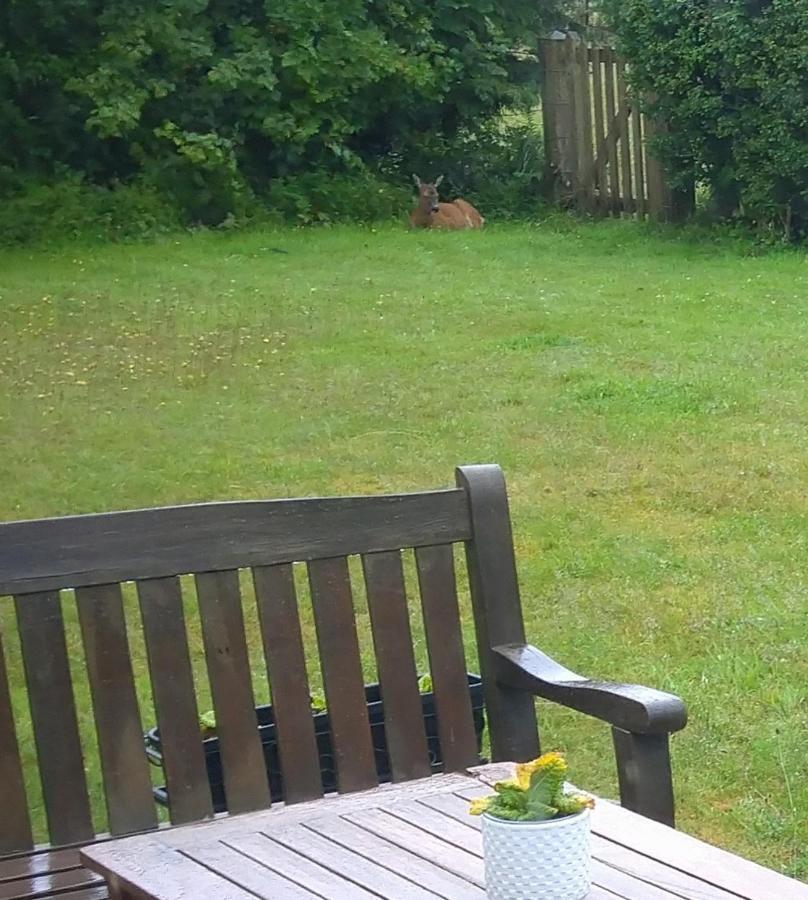 クリフ Aquila Retreats Bed & Breakfast エクステリア 写真